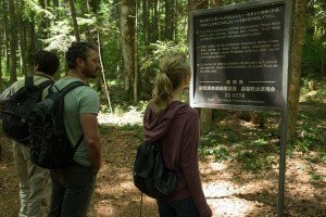 still-of-yukiyoshi-ozawa,-natalie-dormer-and-taylor-kinney-in-the-forest-(2016)-large-picture